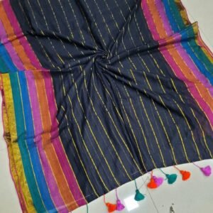 Black Multicolour-Stripe Border Saree